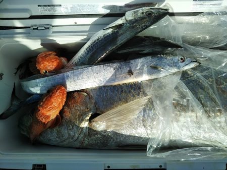 康仁丸・ジギング釣り果